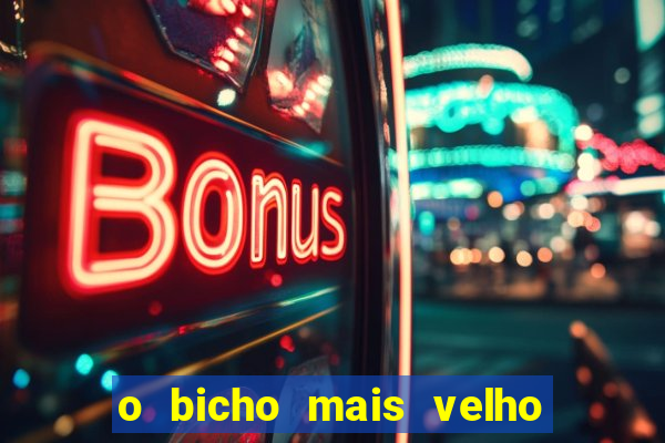 o bicho mais velho da loteria dos sonhos