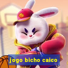 jogo bicho caico