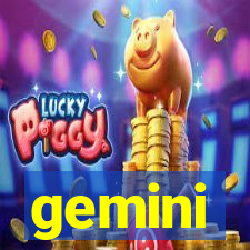 gemini-pp.com