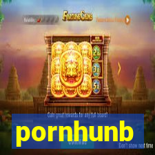 pornhunb