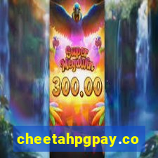 cheetahpgpay.com