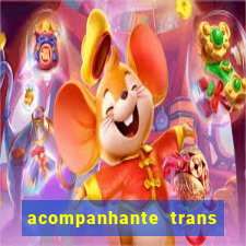 acompanhante trans porto seguro