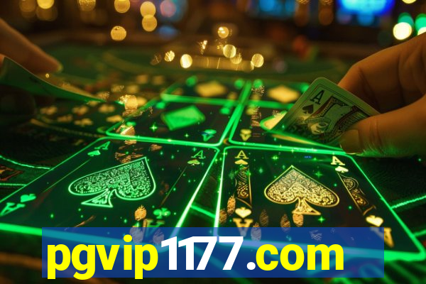 pgvip1177.com