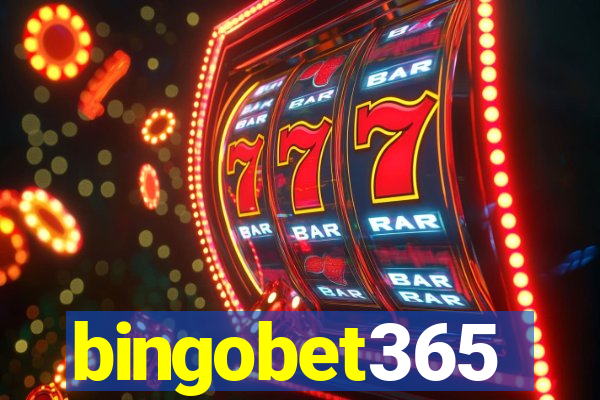 bingobet365