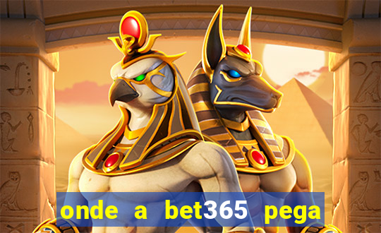 onde a bet365 pega as estatisticas