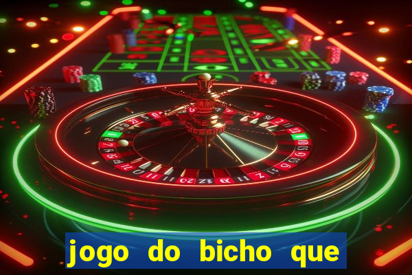 jogo do bicho que paga no pix