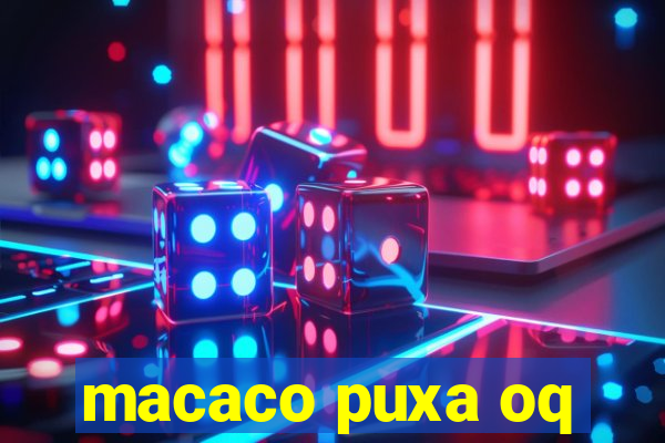 macaco puxa oq