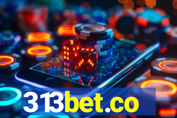 313bet.co