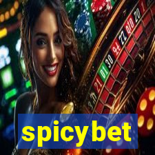 spicybet-3.com