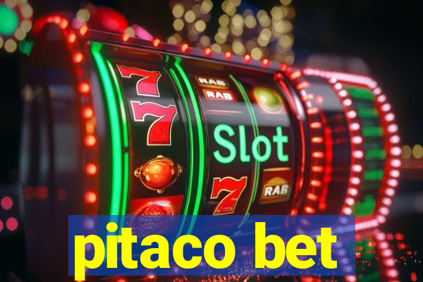 pitaco bet