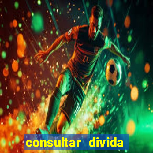 consultar divida casas bahia