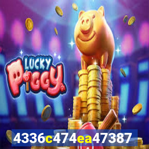 plataforma 6555bet
