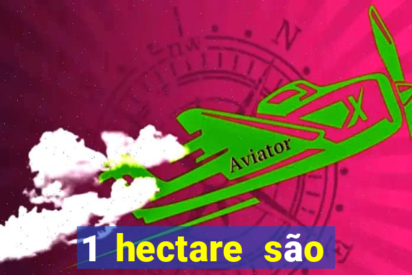 1 hectare são quantas tarefas na bahia