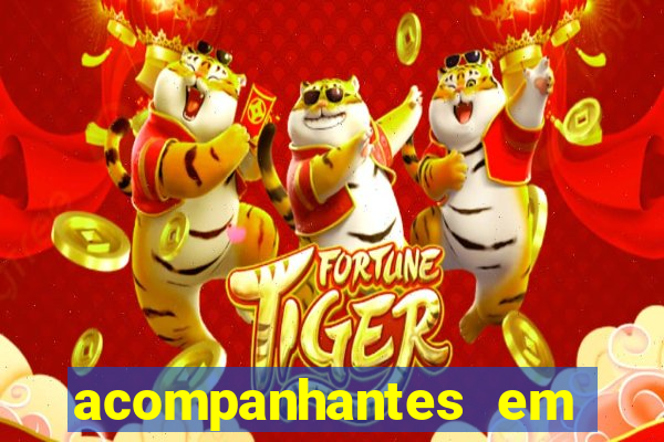 acompanhantes em porto nacional