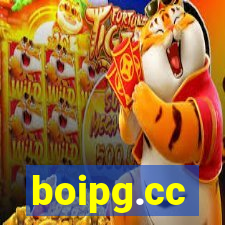 boipg.cc