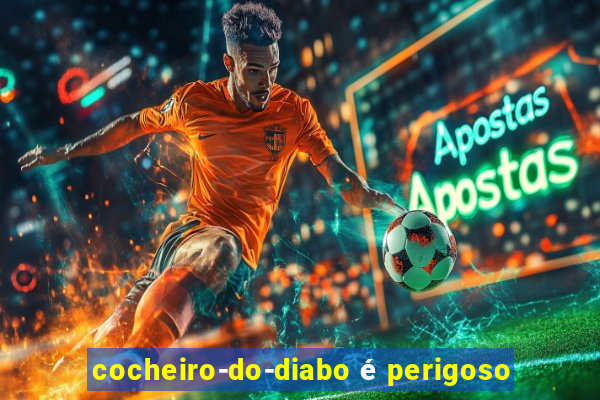 cocheiro-do-diabo é perigoso