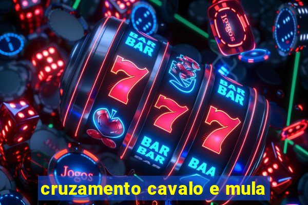 cruzamento cavalo e mula
