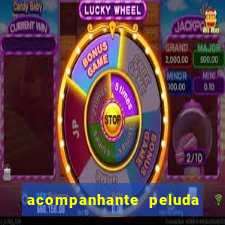 acompanhante peluda porto alegre