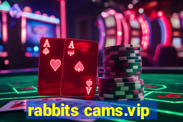 rabbits cams.vip
