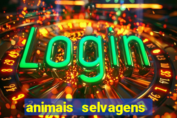 animais selvagens fotos e nomes