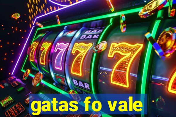 gatas fo vale