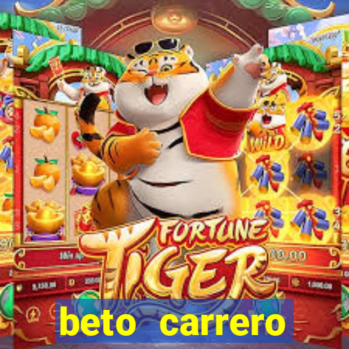 beto carrero cidades proximas