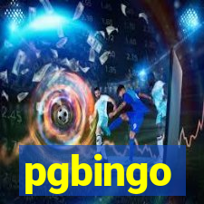 pgbingo